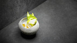 JAN C. BRETTSCHNEIDER