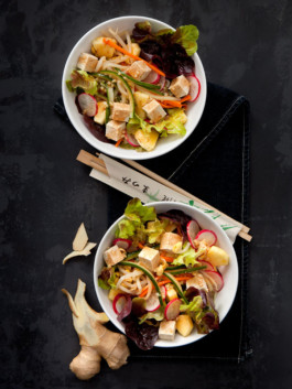 JAN C. BRETTSCHNEIDER