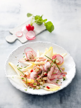 JAN C. BRETTSCHNEIDER