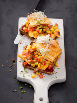 JAN C. BRETTSCHNEIDER