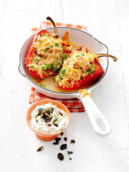 JAN C. BRETTSCHNEIDER