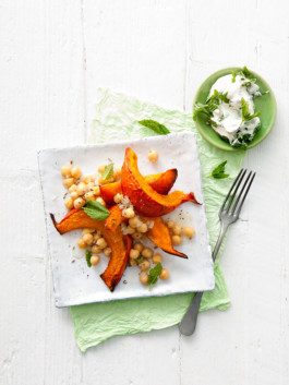 JAN C. BRETTSCHNEIDER