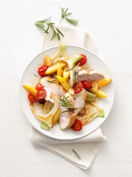 JAN C. BRETTSCHNEIDER