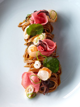 JAN C. BRETTSCHNEIDER