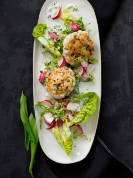 JAN C. BRETTSCHNEIDER