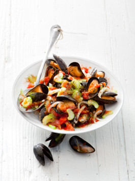 JAN C. BRETTSCHNEIDER