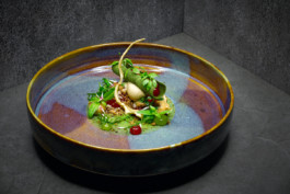 JAN C. BRETTSCHNEIDER