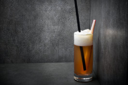 JAN C. BRETTSCHNEIDER