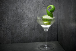 JAN C. BRETTSCHNEIDER