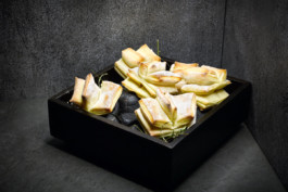 JAN C. BRETTSCHNEIDER