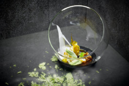 JAN C. BRETTSCHNEIDER