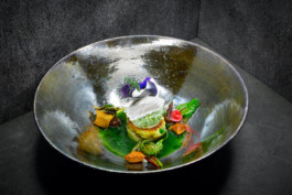 JAN C. BRETTSCHNEIDER