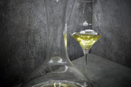 JAN C. BRETTSCHNEIDER