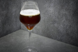 JAN C. BRETTSCHNEIDER