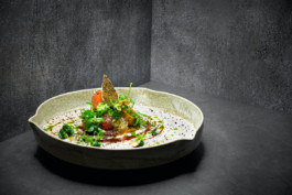 JAN C. BRETTSCHNEIDER