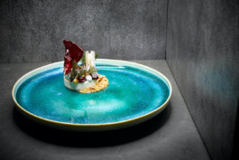 JAN C. BRETTSCHNEIDER