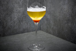 JAN C. BRETTSCHNEIDER