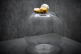 JAN C. BRETTSCHNEIDER