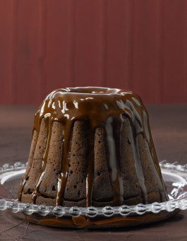 JAN C. BRETTSCHNEIDER