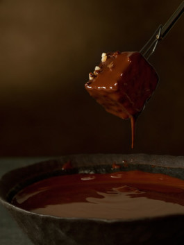 JAN C. BRETTSCHNEIDER