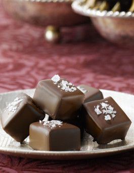 JAN C. BRETTSCHNEIDER