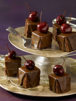 JAN C. BRETTSCHNEIDER