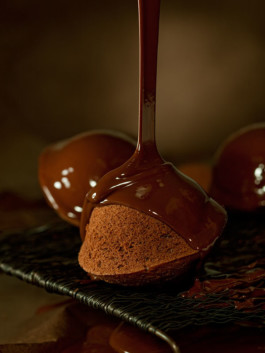 JAN C. BRETTSCHNEIDER