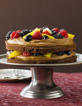 JAN C. BRETTSCHNEIDER