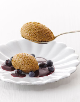 JAN C. BRETTSCHNEIDER