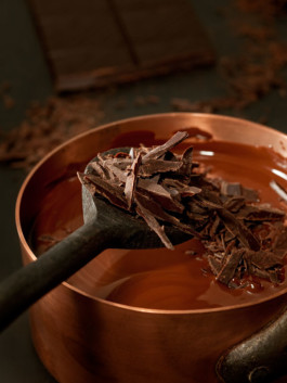 JAN C. BRETTSCHNEIDER