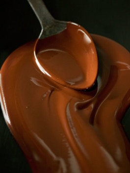 JAN C. BRETTSCHNEIDER