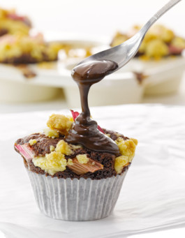 JAN C. BRETTSCHNEIDER