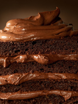 JAN C. BRETTSCHNEIDER