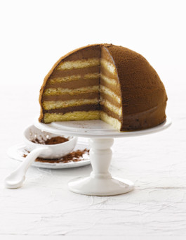 JAN C. BRETTSCHNEIDER