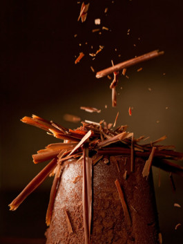 JAN C. BRETTSCHNEIDER