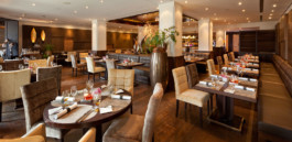 JAN C. BRETTSCHNEIDER