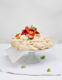 JAN C. BRETTSCHNEIDER