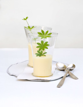 JAN C. BRETTSCHNEIDER