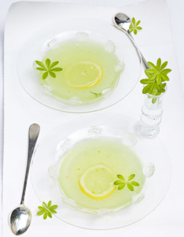 JAN C. BRETTSCHNEIDER