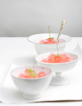 JAN C. BRETTSCHNEIDER