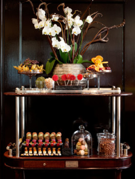 JAN C. BRETTSCHNEIDER