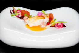 JAN C. BRETTSCHNEIDER