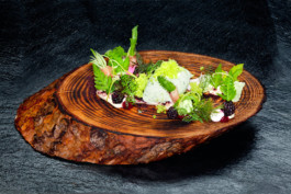 JAN C. BRETTSCHNEIDER