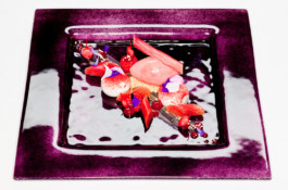 JAN C. BRETTSCHNEIDER