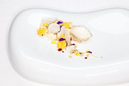 JAN C. BRETTSCHNEIDER