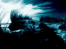 JAN C. BRETTSCHNEIDER