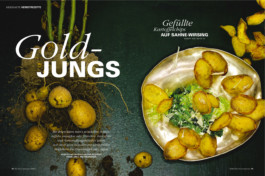 JAN C. BRETTSCHNEIDER