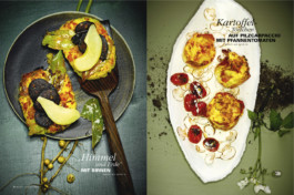 JAN C. BRETTSCHNEIDER