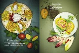 JAN C. BRETTSCHNEIDER