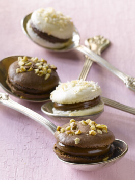 JAN C. BRETTSCHNEIDER